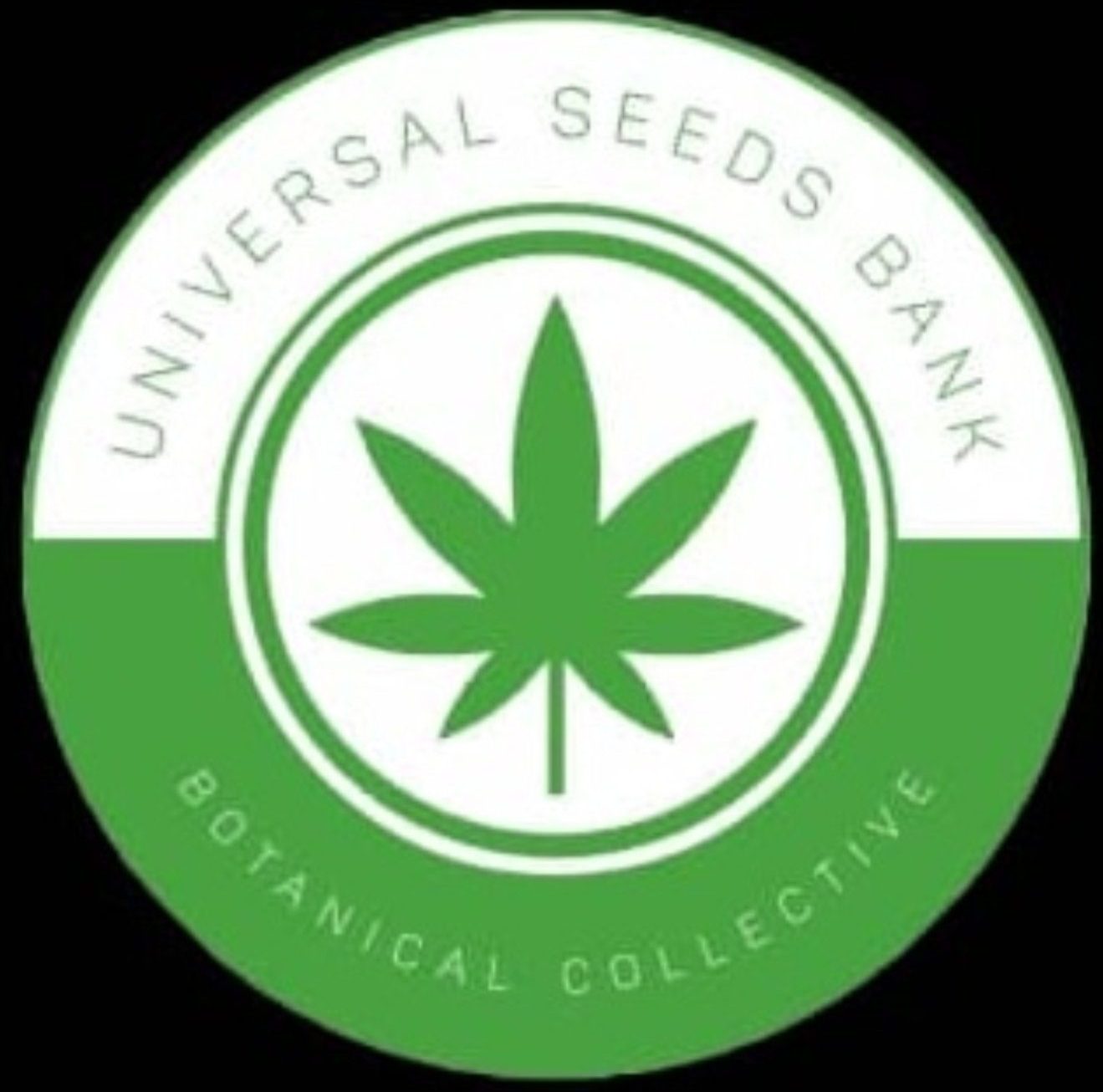 Marijuana Seeds For Sale